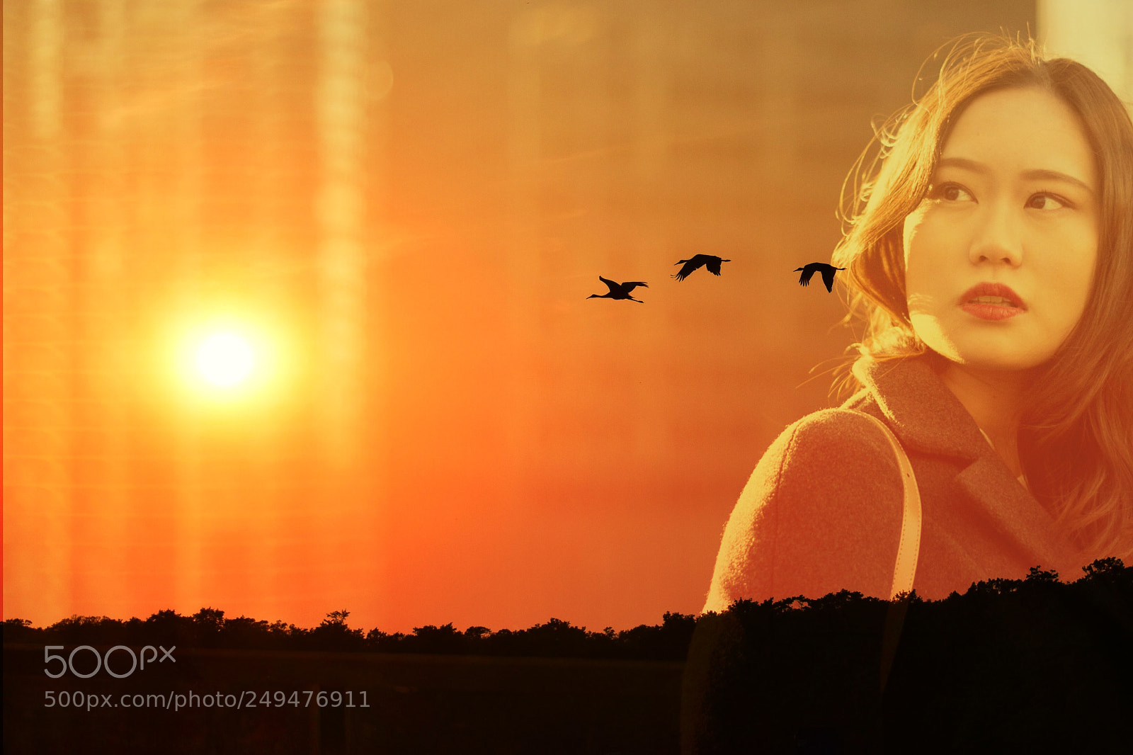 Nikon D5300 sample photo. Sunset photography