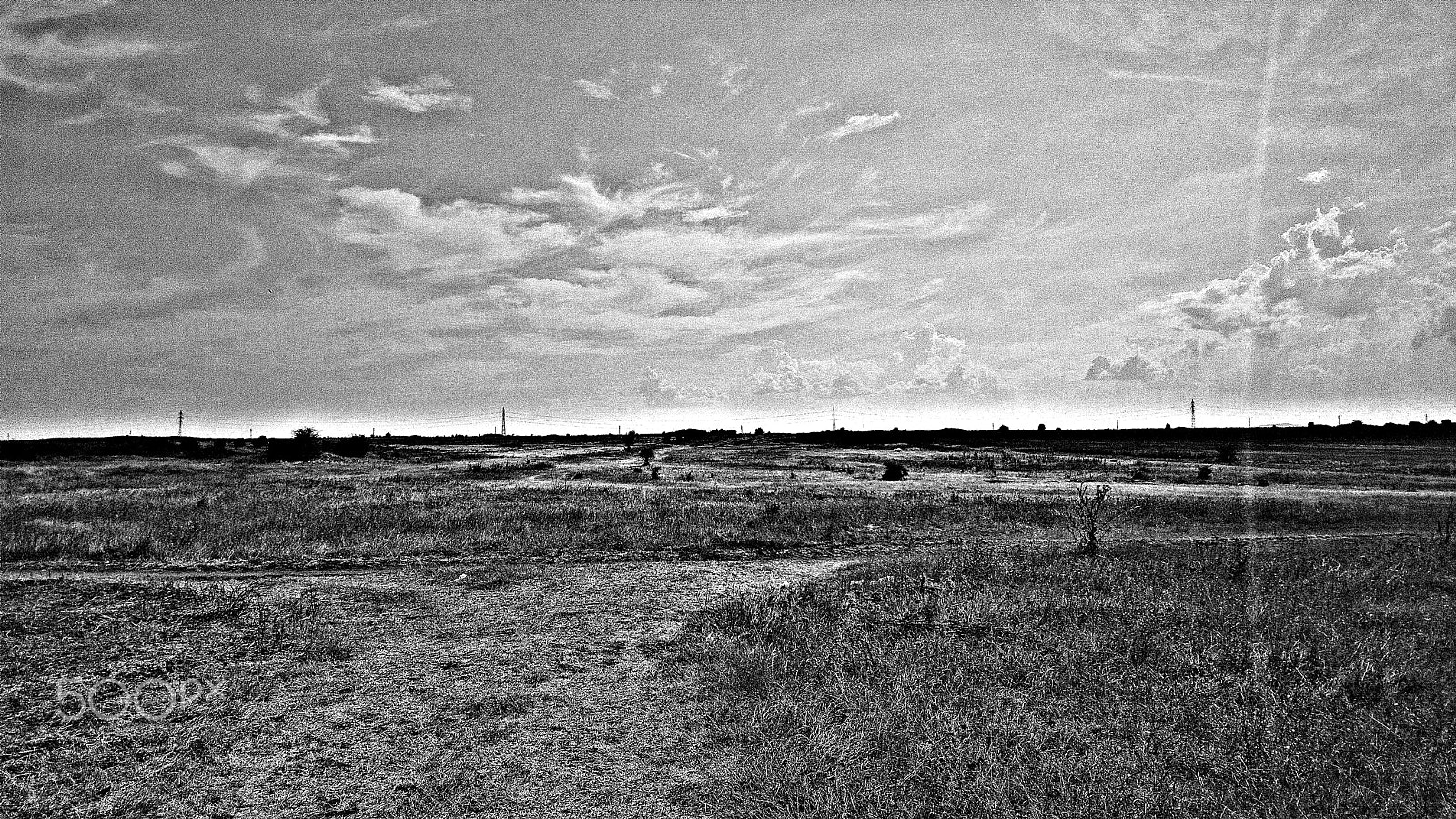 Nokia 808 PureView sample photo. Monochrome fields photography