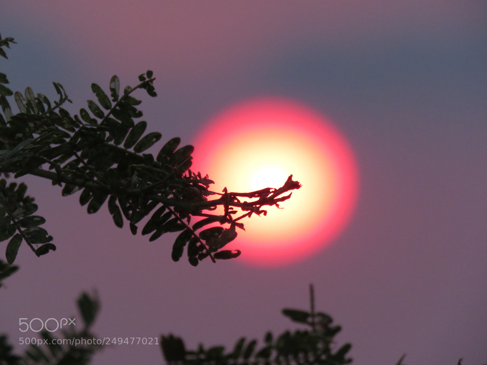 Canon PowerShot SX60 HS sample photo. Amanecer photography