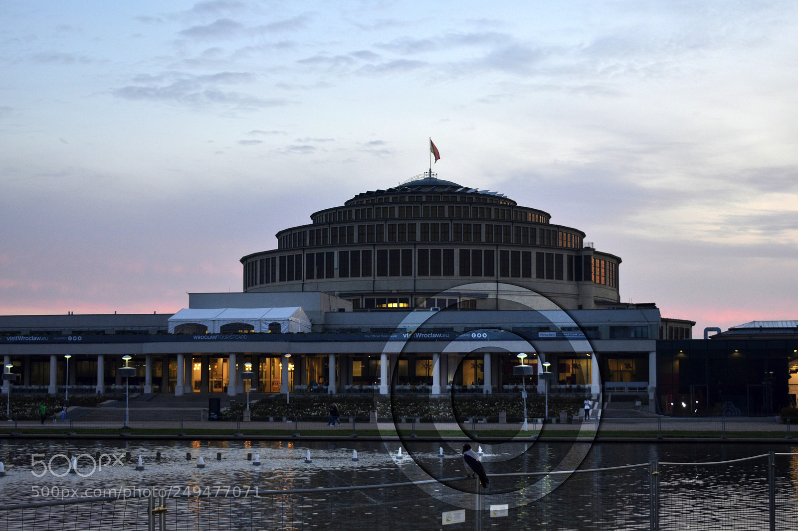 Nikon D3400 sample photo. Dsc_1764-1.jpg photography