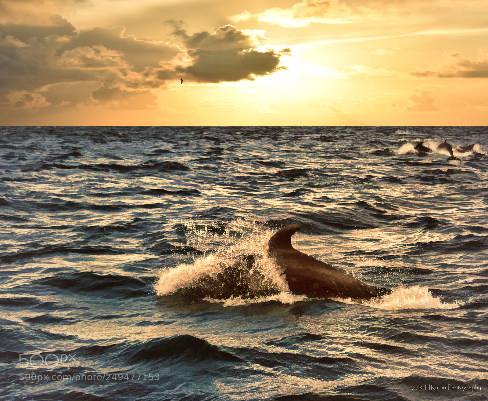 Nikon D5500 sample photo. Beautiful sea photography