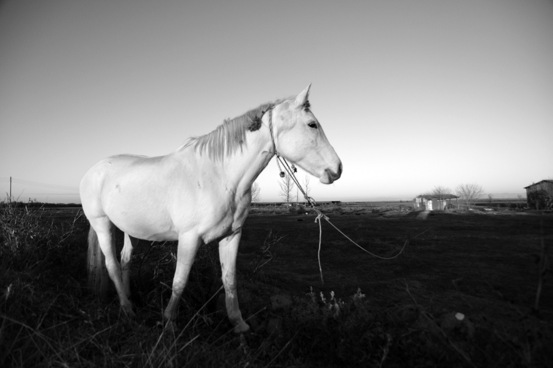 Nikon D7100 sample photo. #110 photography