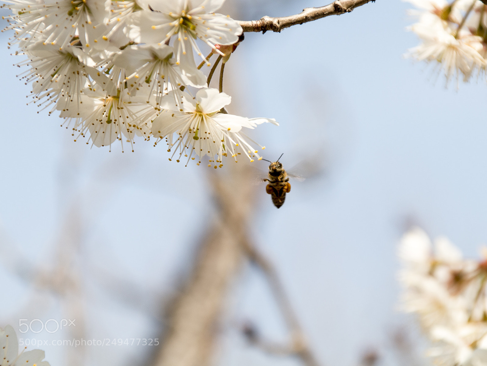 Canon EOS 70D sample photo. 2340.jpg photography