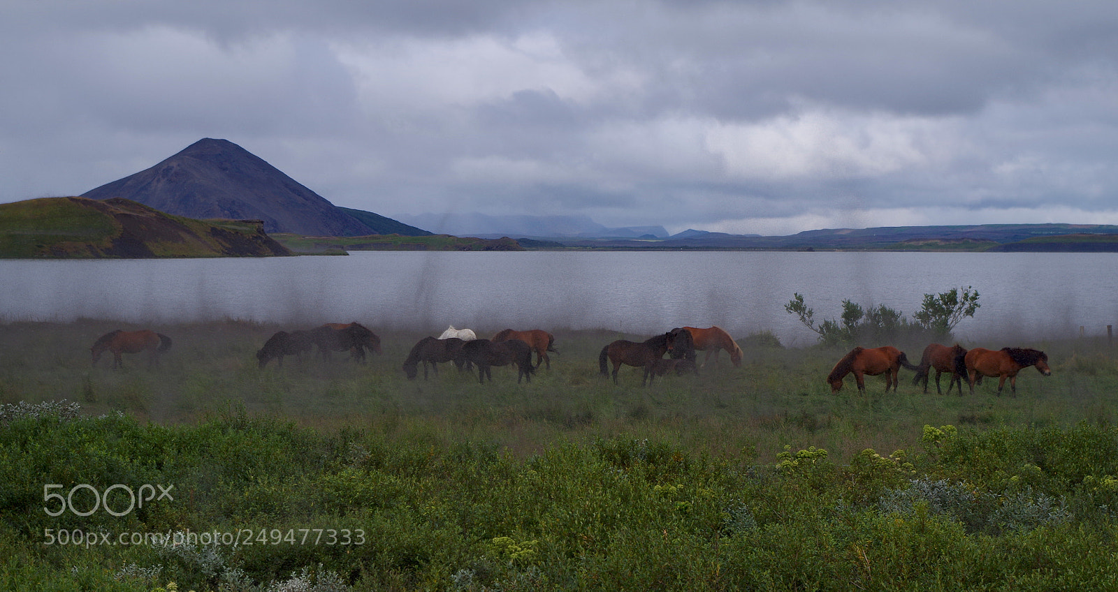 Pentax K-500 sample photo. Swarms of midges photography