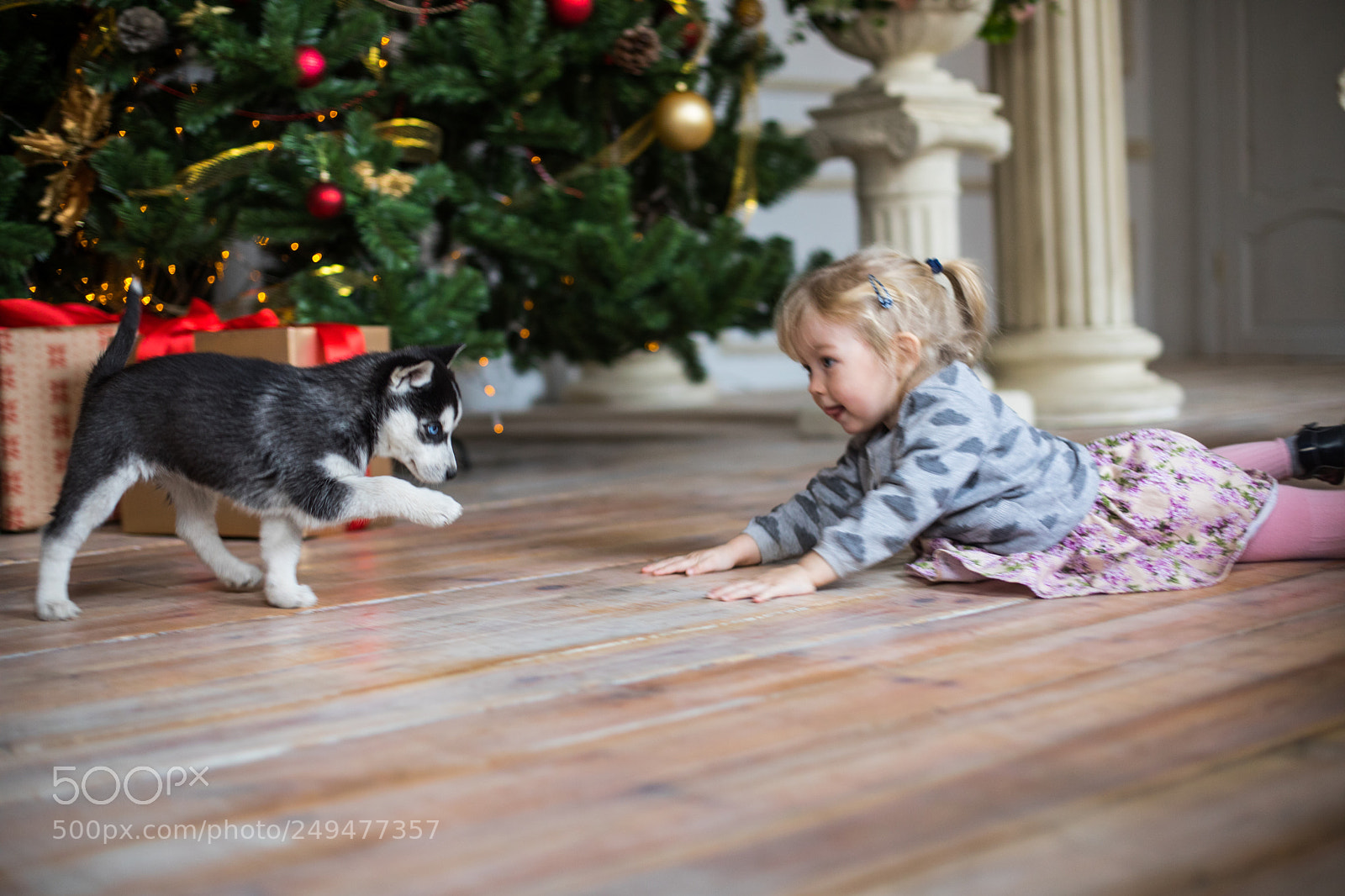 Canon EOS 5D Mark IV sample photo. My gift photography