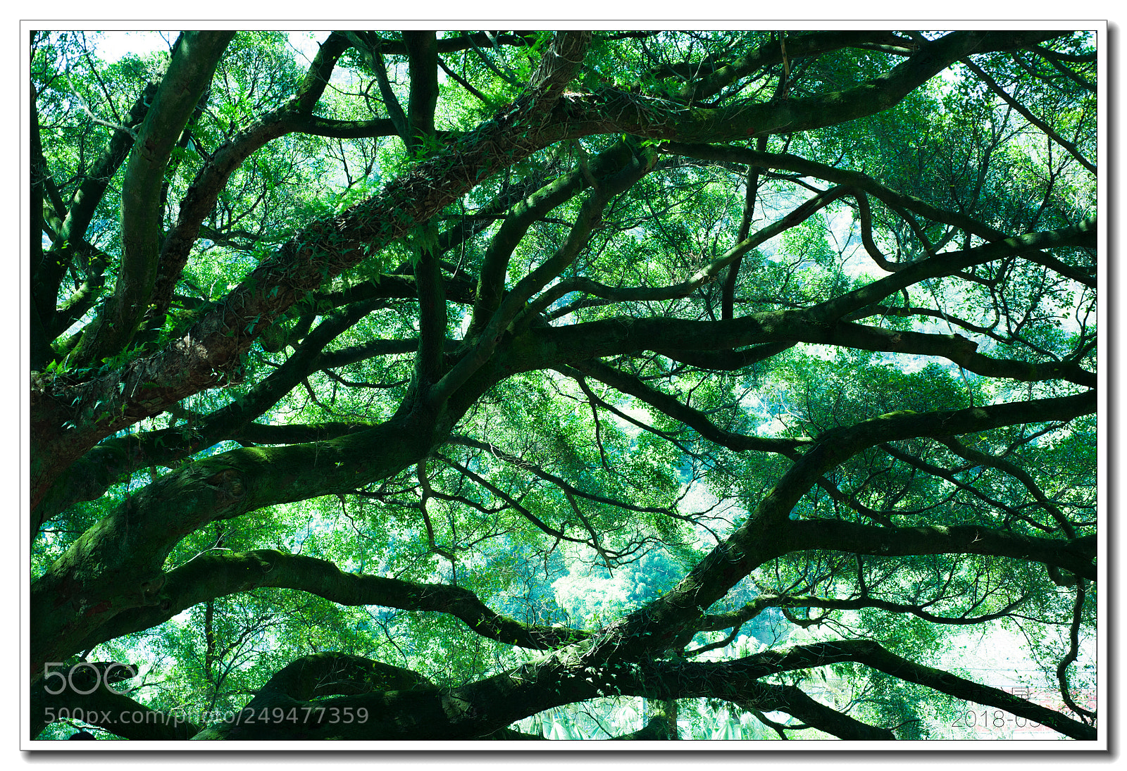 Nikon D700 sample photo. Vitality photography