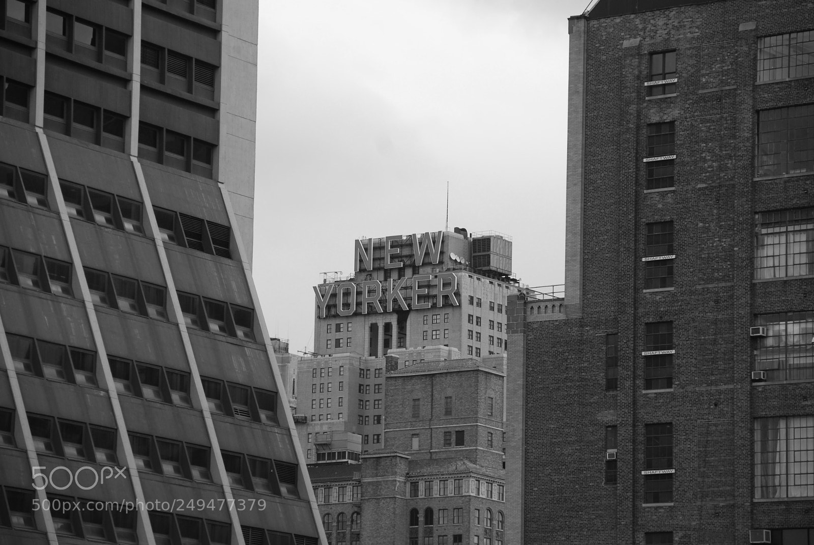 Nikon D40X sample photo. Evolution photography