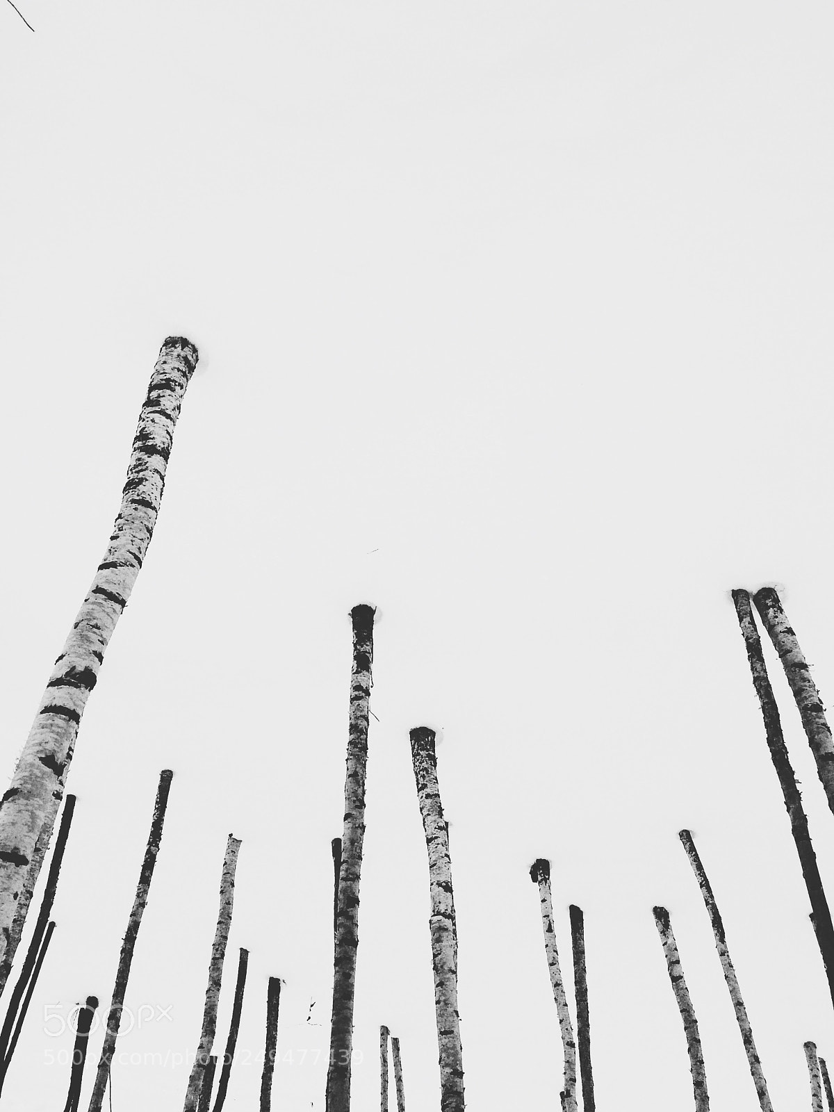 Apple iPhone 5s sample photo. Processed with vsco with photography
