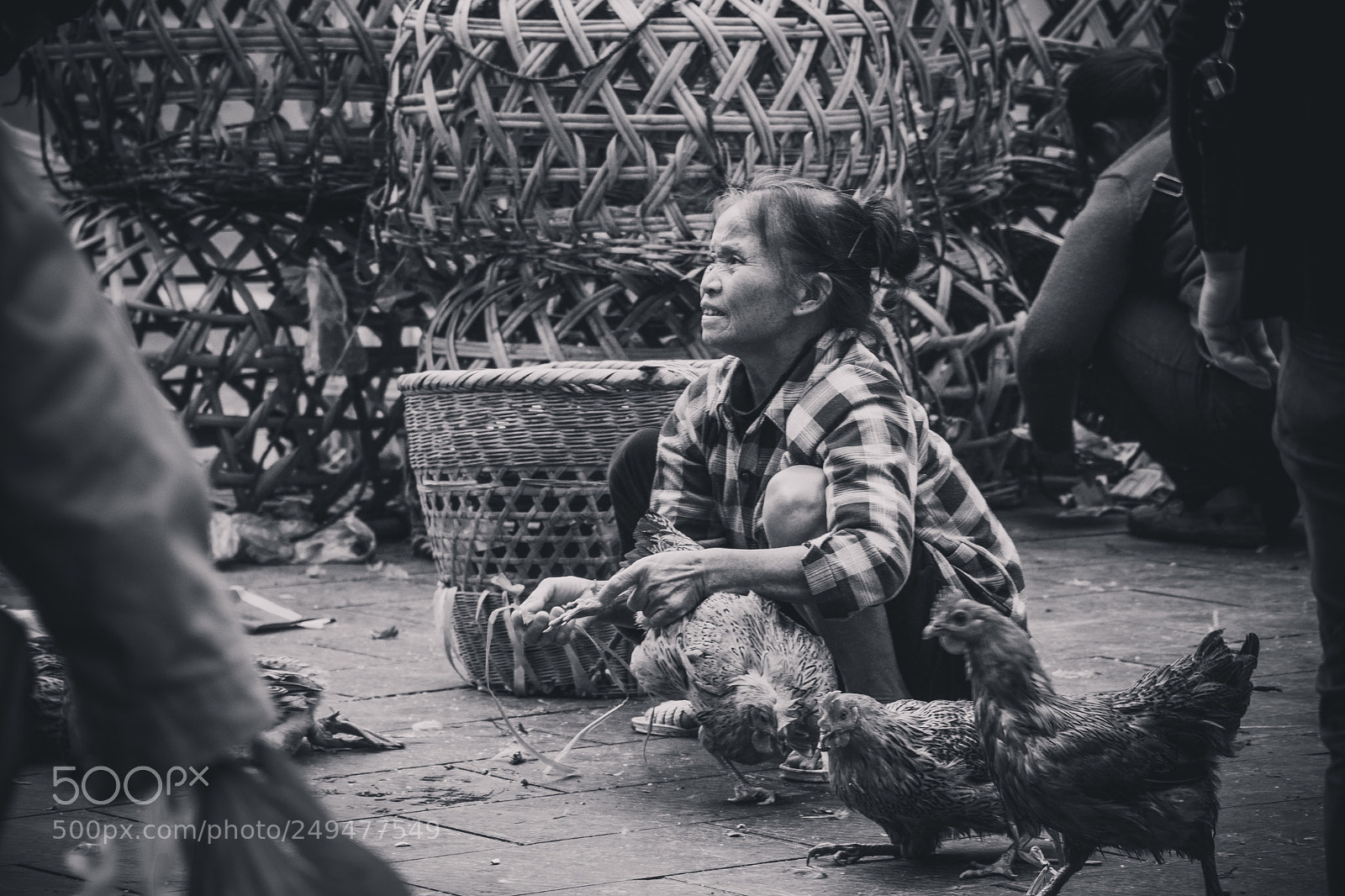 Canon EOS 80D sample photo. Untitled photography