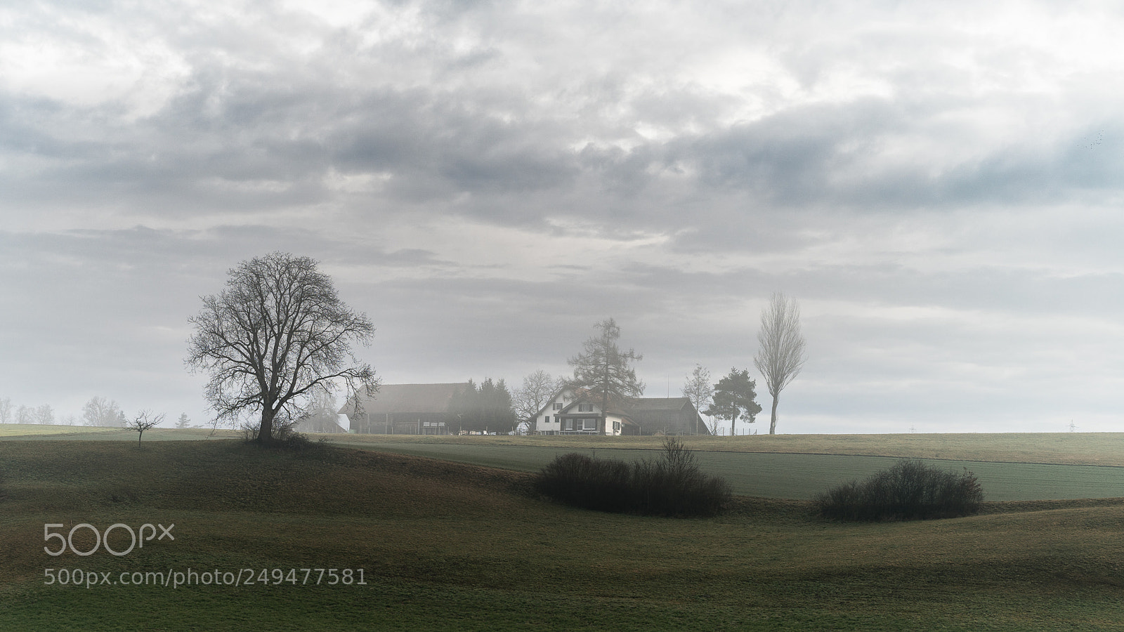 Sony a7R II sample photo. Foggy morning photography