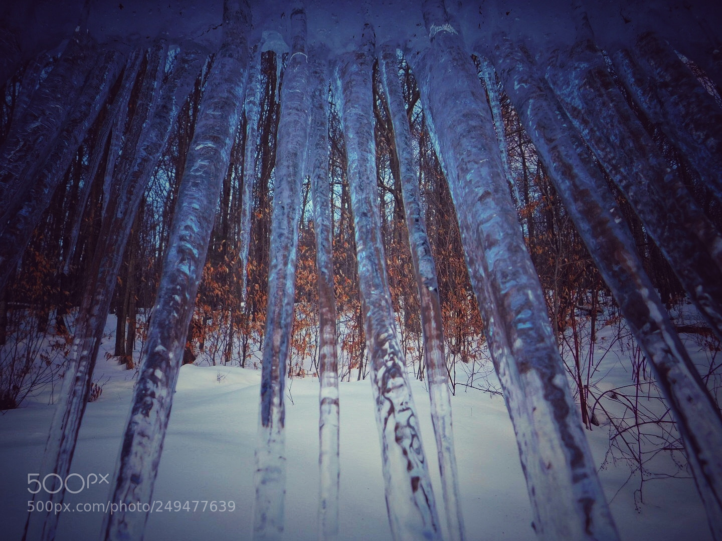 Nikon Coolpix B500 sample photo. Under the icicles photography