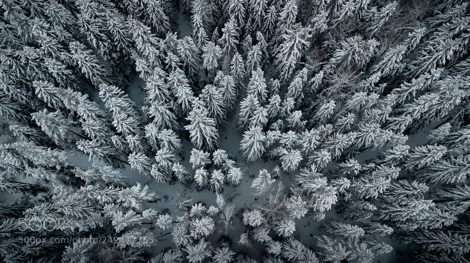 DJI FC220 sample photo. Aerial view of snow photography