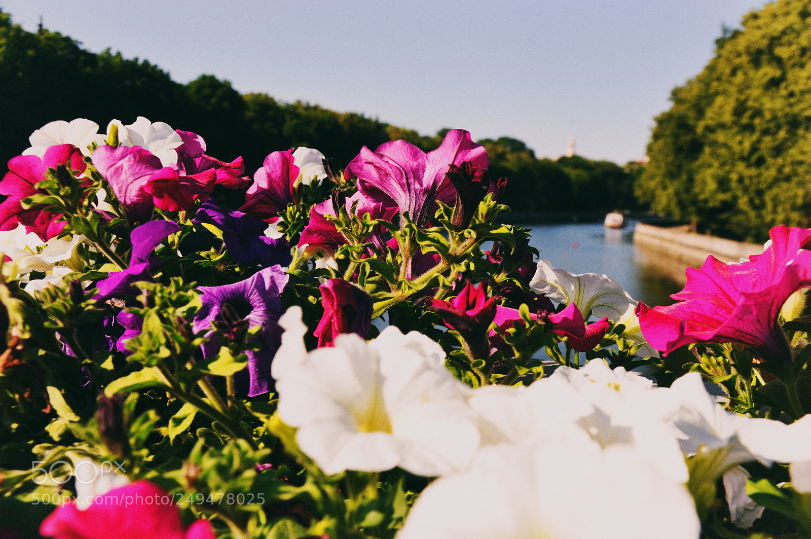 Nikon D90 sample photo. Minsk photography