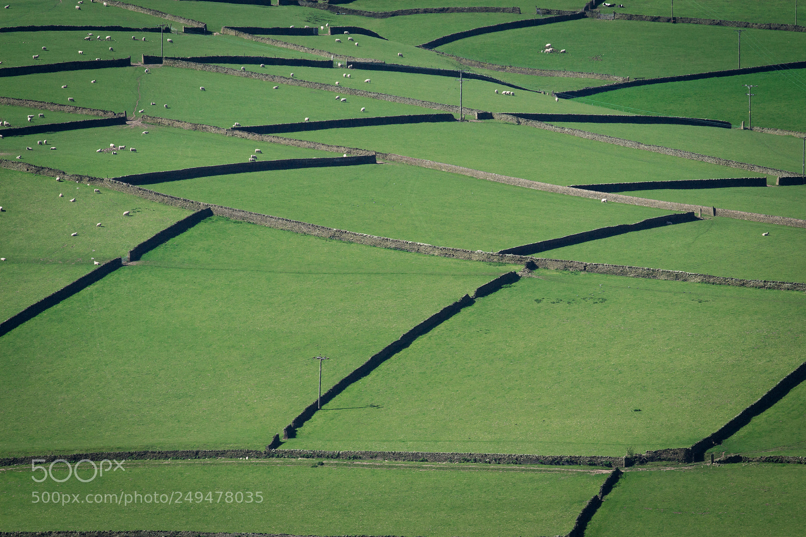 Canon EOS 700D (EOS Rebel T5i / EOS Kiss X7i) sample photo. Yorkshire patchwork photography