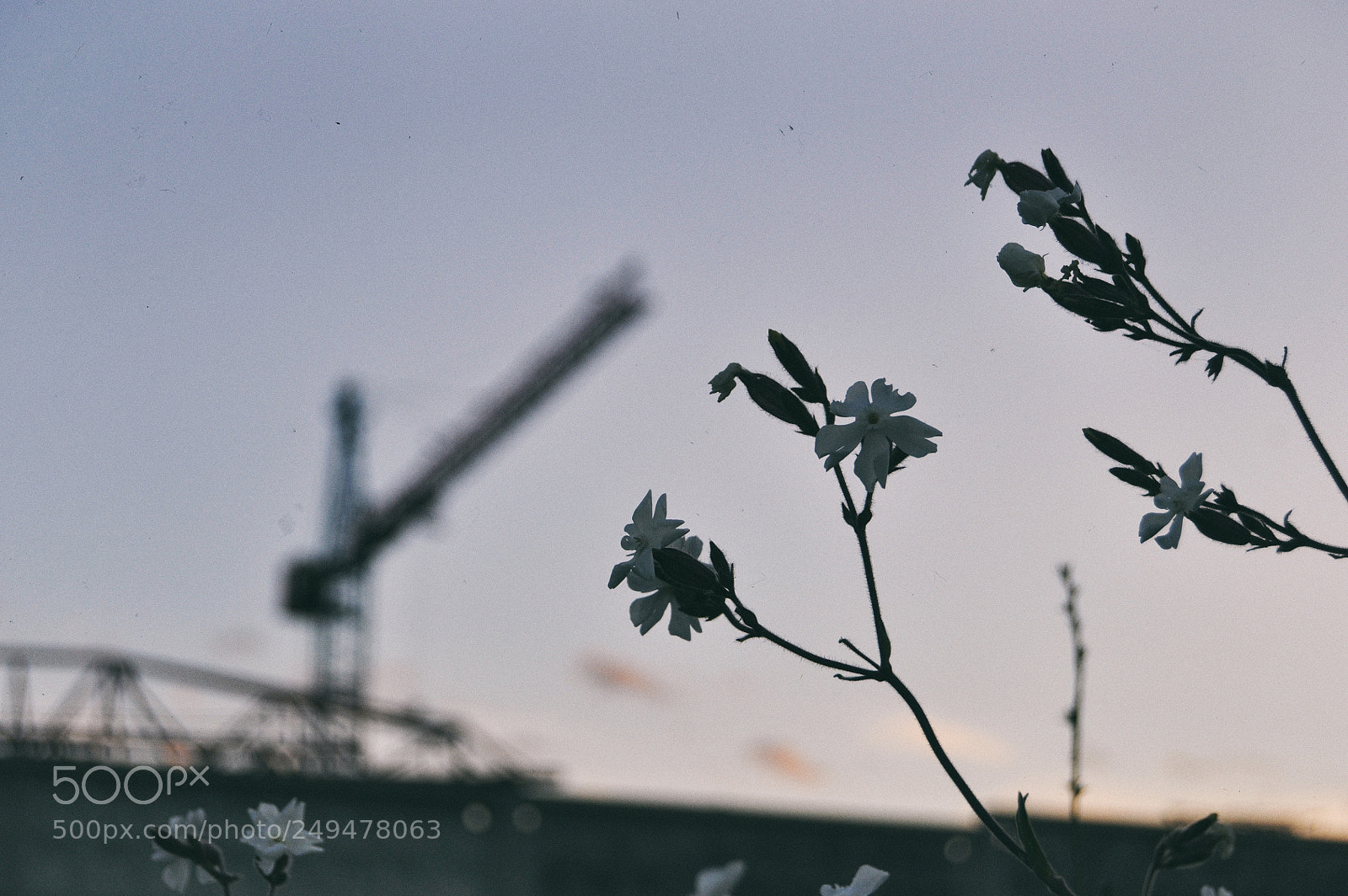 Nikon D90 sample photo. Industrial minsk photography