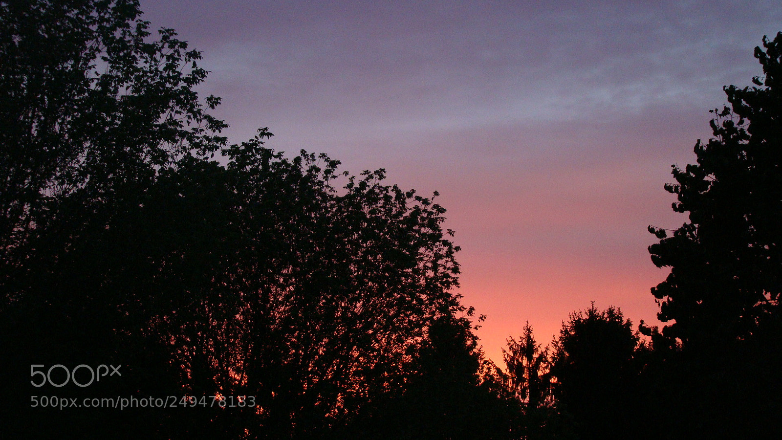 Sony Cyber-shot DSC-H50 sample photo. Dsc photography