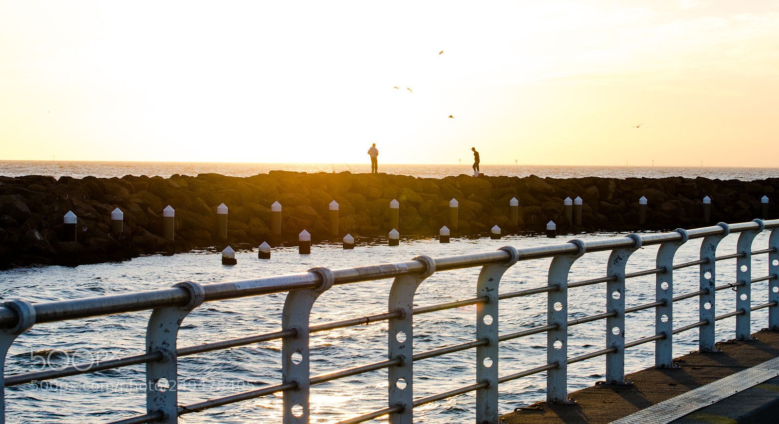 Nikon D7000 sample photo. Stkilda pier photography