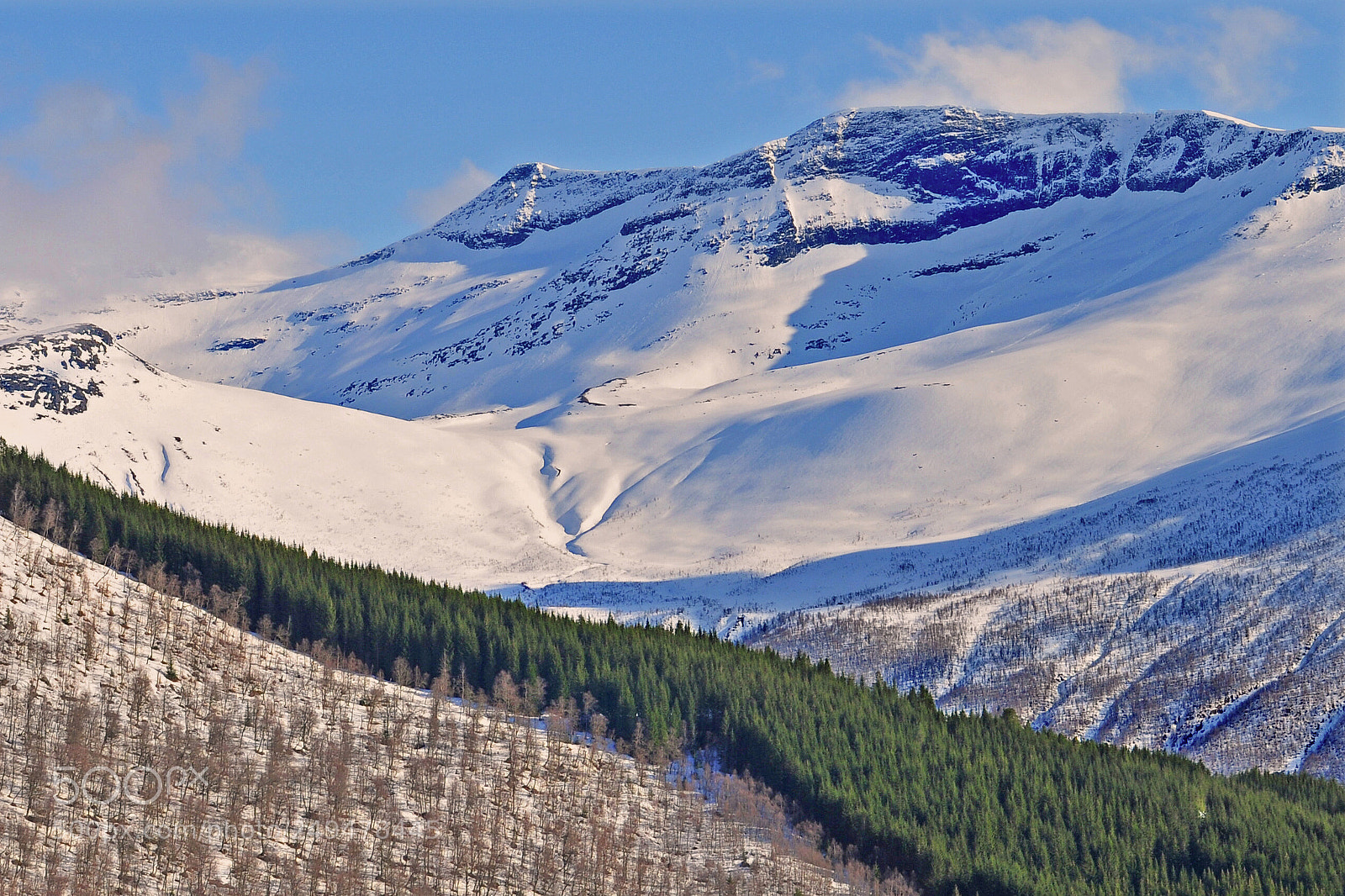 Nikon D300 sample photo. Winter photography