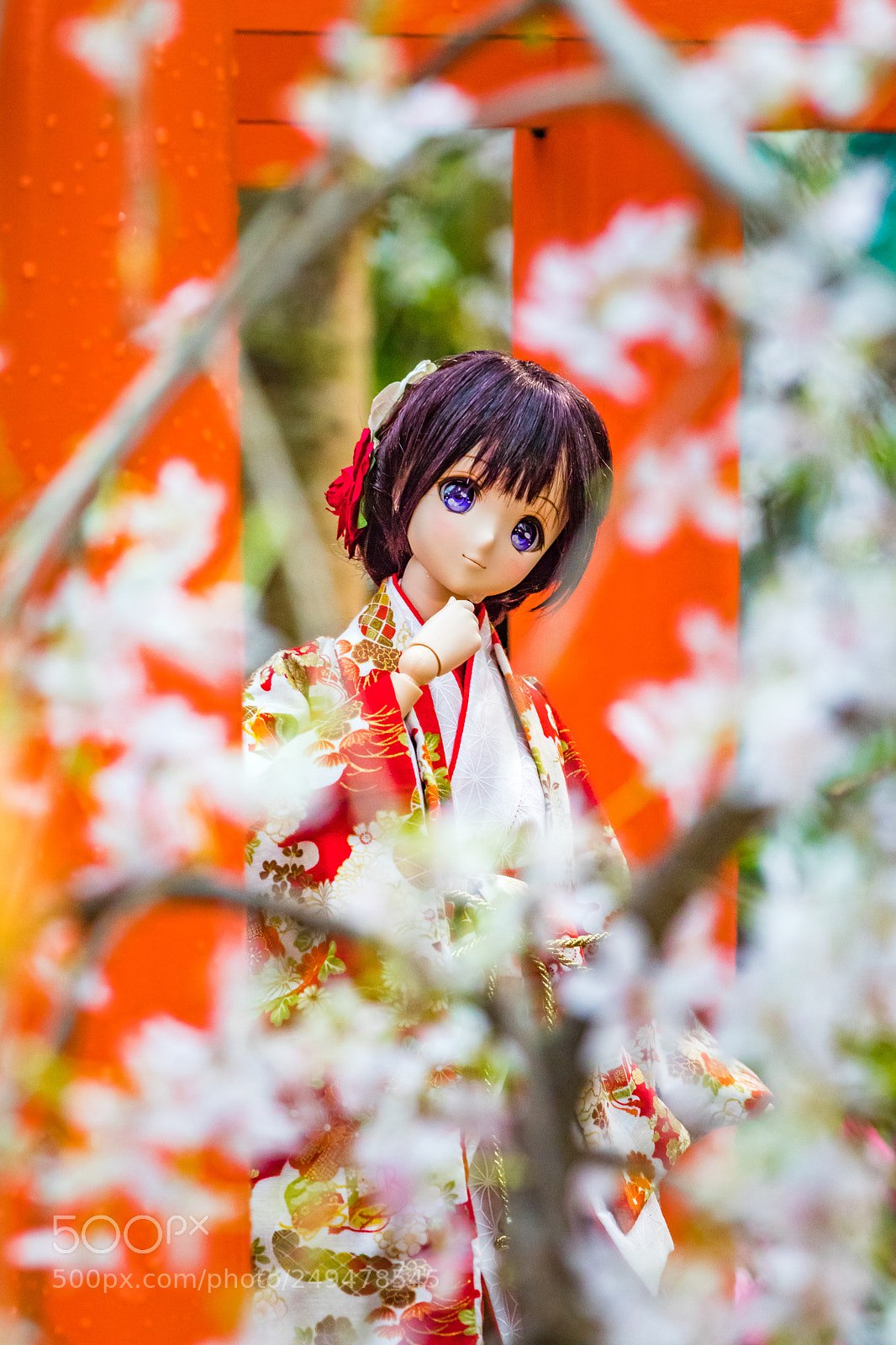 Canon EOS 5D Mark IV sample photo. Sakura matsuri 2018 photography