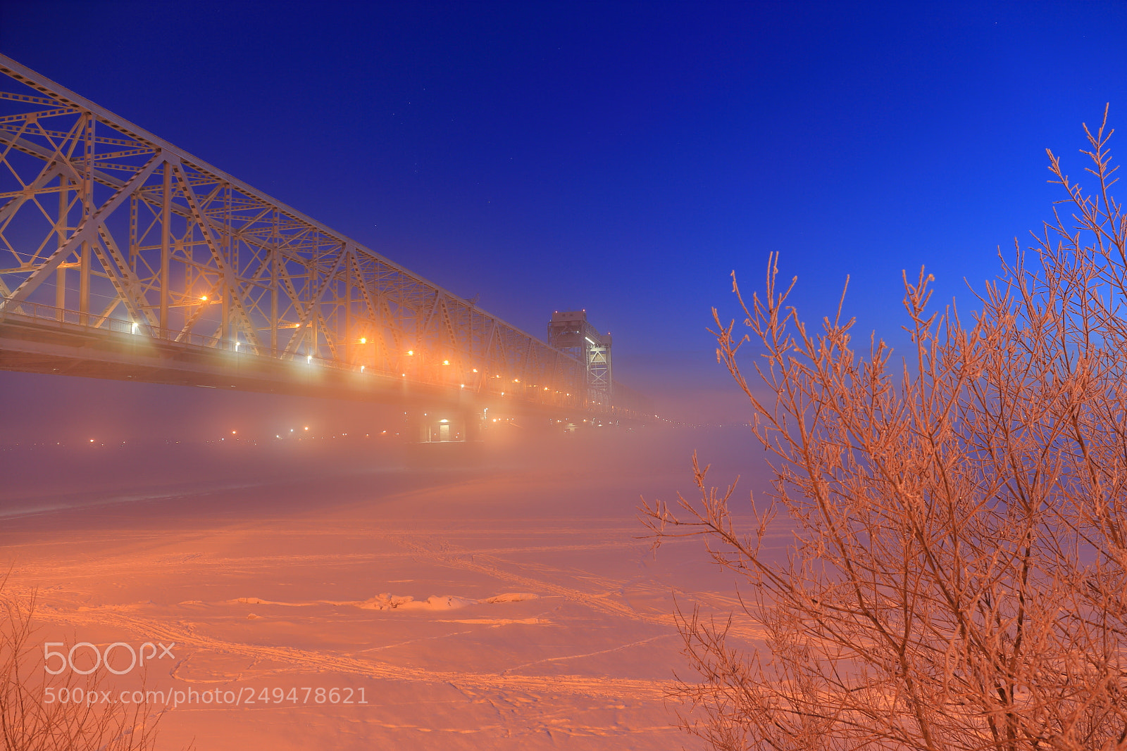 Canon EF 24-70mm F4L IS USM sample photo. In the frosty mist photography