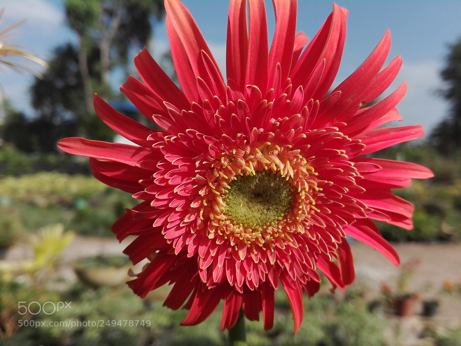 HUAWEI Y6II sample photo. Untitled photography
