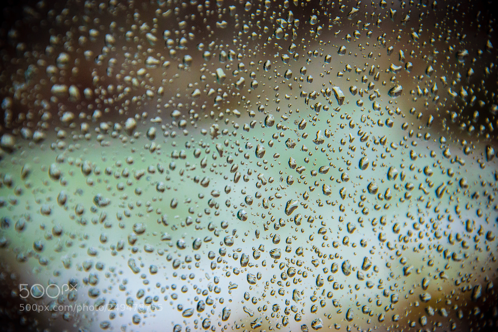 Nikon D3300 sample photo. Raindrops photography