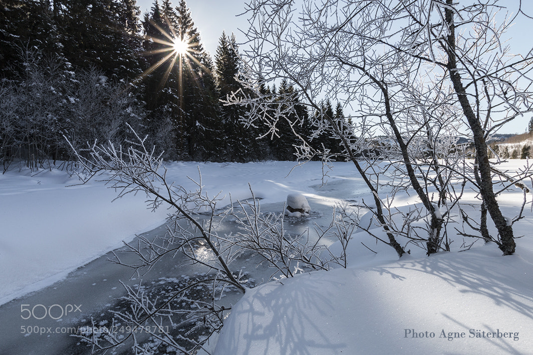 Canon EOS 70D sample photo. Winter landscape photography