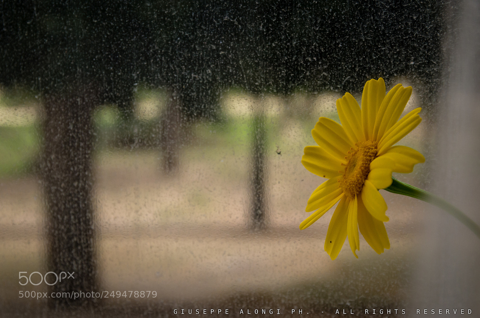 Pentax K-30 sample photo. A' finestra photography