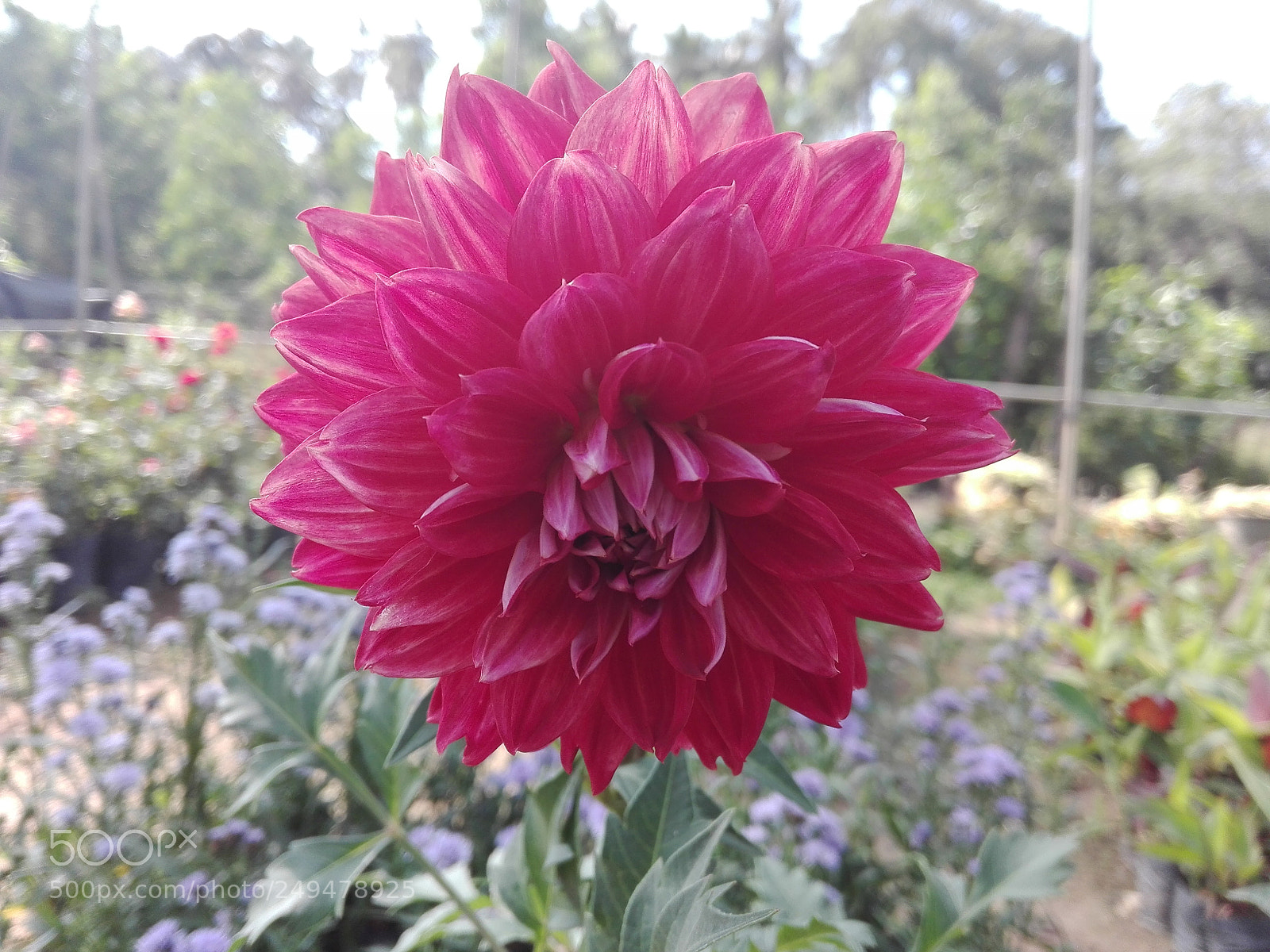 HUAWEI Y6II sample photo. Untitled photography