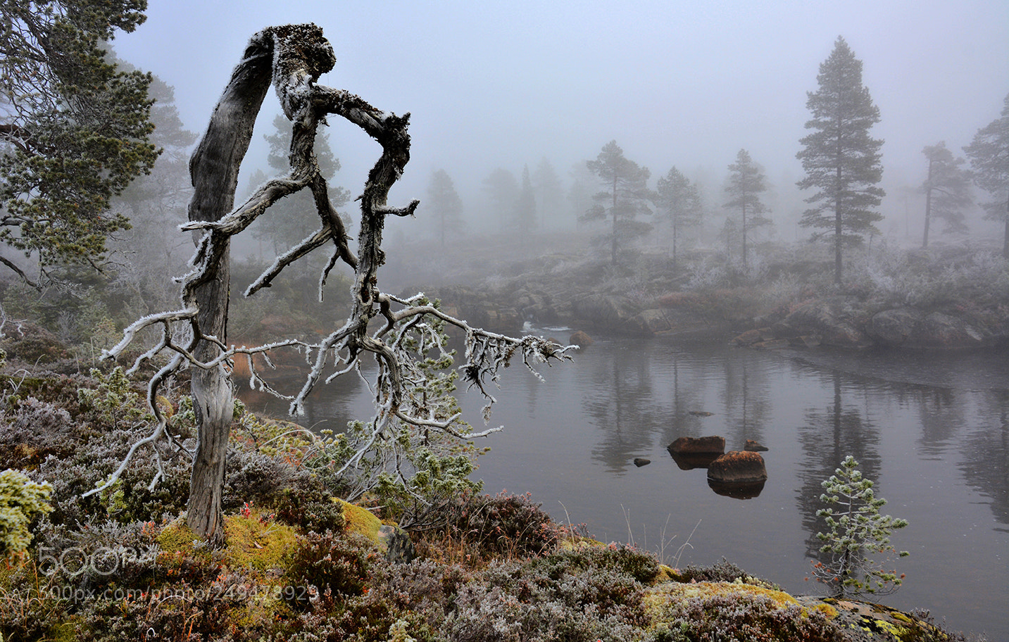 Nikon D5200 sample photo. Crooked photography