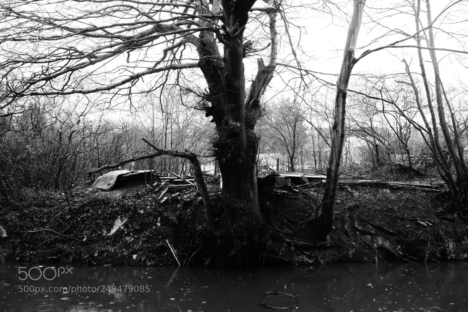 Fujifilm X-Pro2 sample photo. Detritus photography