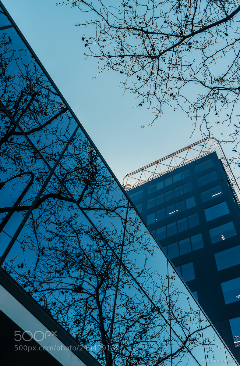 Sony a5100 sample photo. Looking up: madrid photography