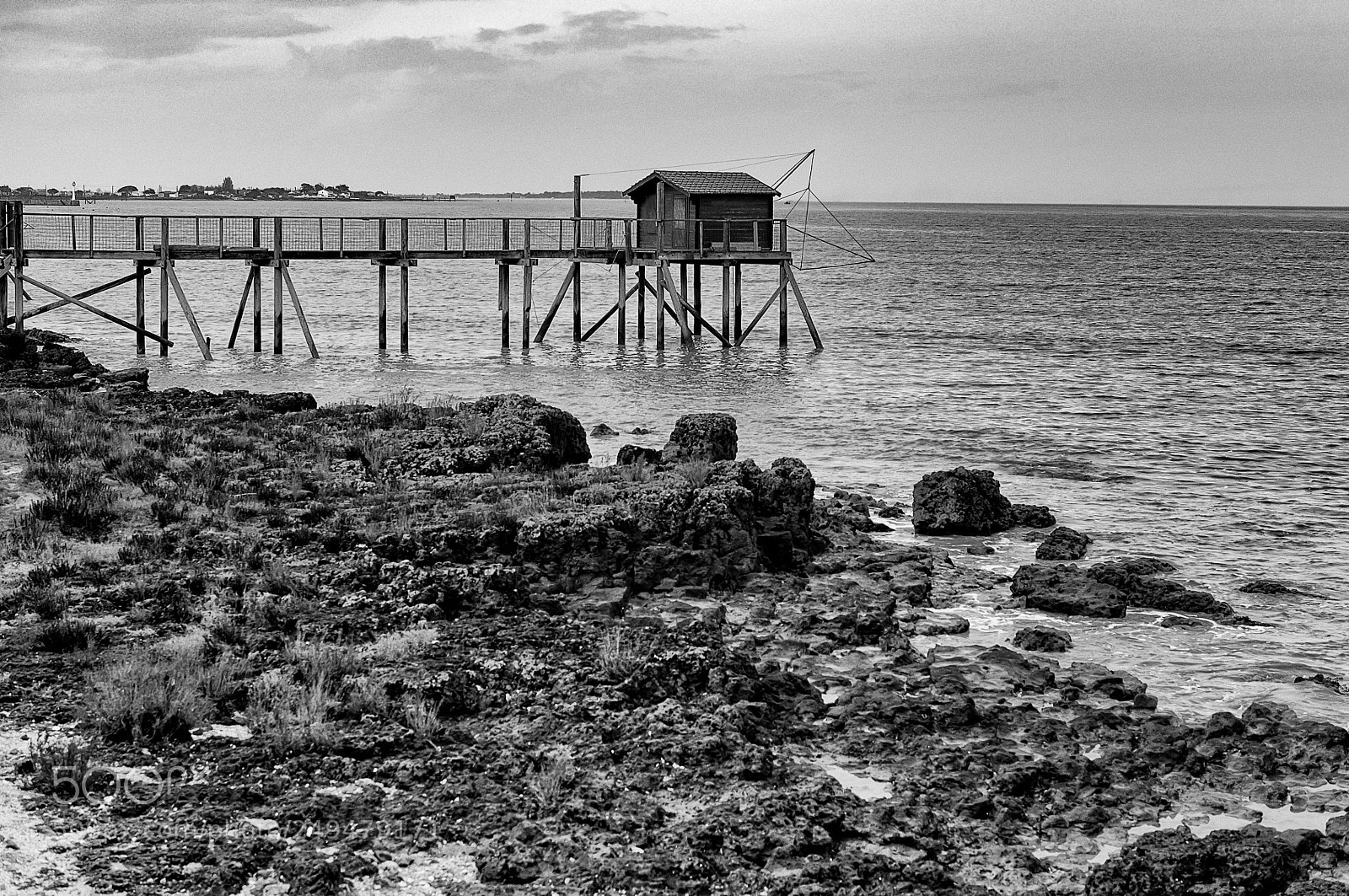 Nikon D300S sample photo. Sans carrelet... photography