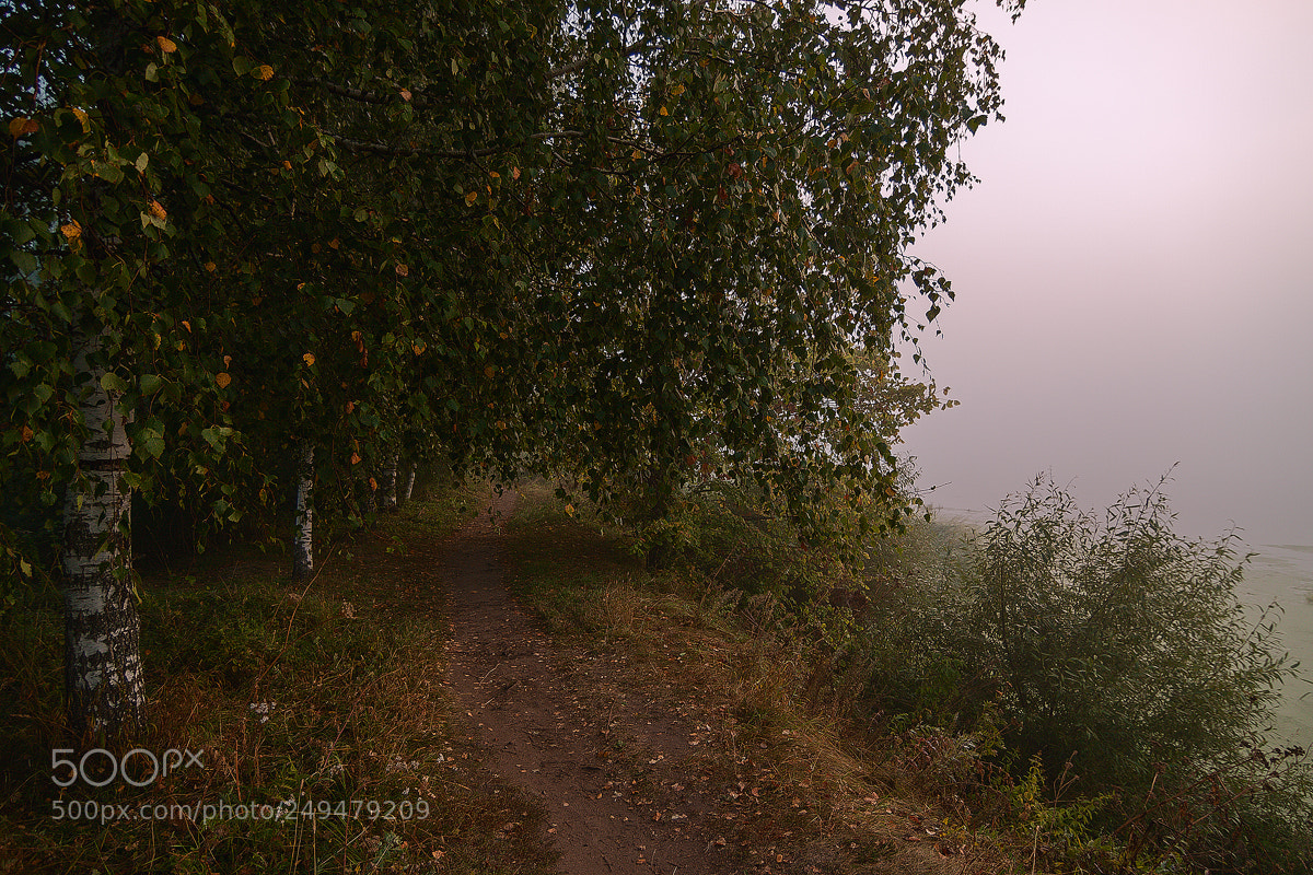 Canon EOS 50D sample photo. Утренний пейзаж / morning landscape photography