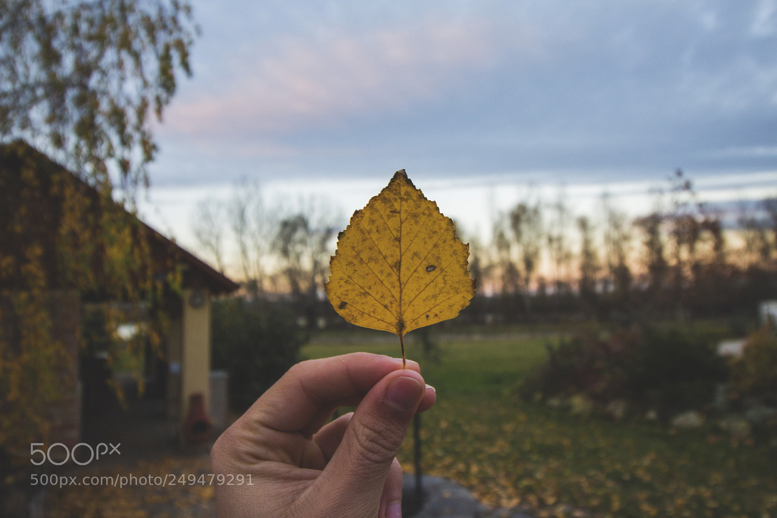 Canon EOS 700D (EOS Rebel T5i / EOS Kiss X7i) sample photo. Autumn ? photography