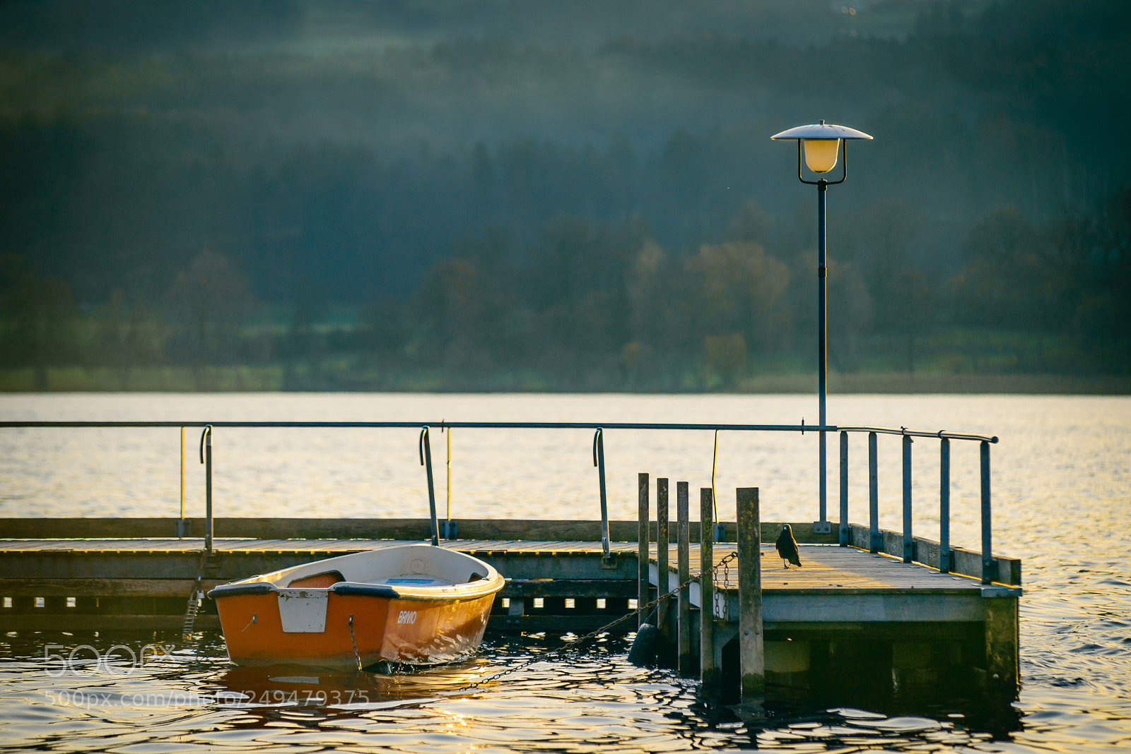 Nikon D800 sample photo. Swiss lake photography