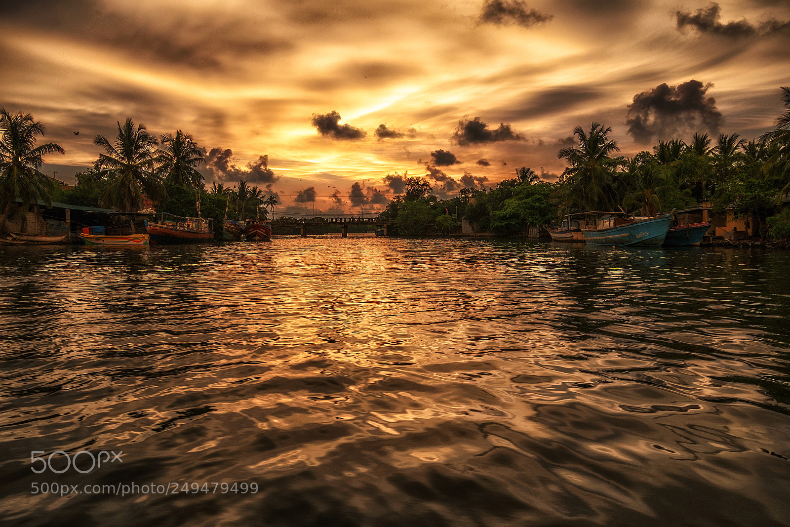 Panasonic Lumix DMC-GX85 (Lumix DMC-GX80 / Lumix DMC-GX7 Mark II) sample photo. Floating along negombo, sri photography