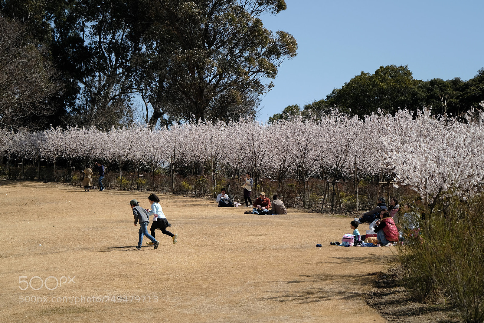 Fujifilm X-T2 sample photo. Spring holidays photography