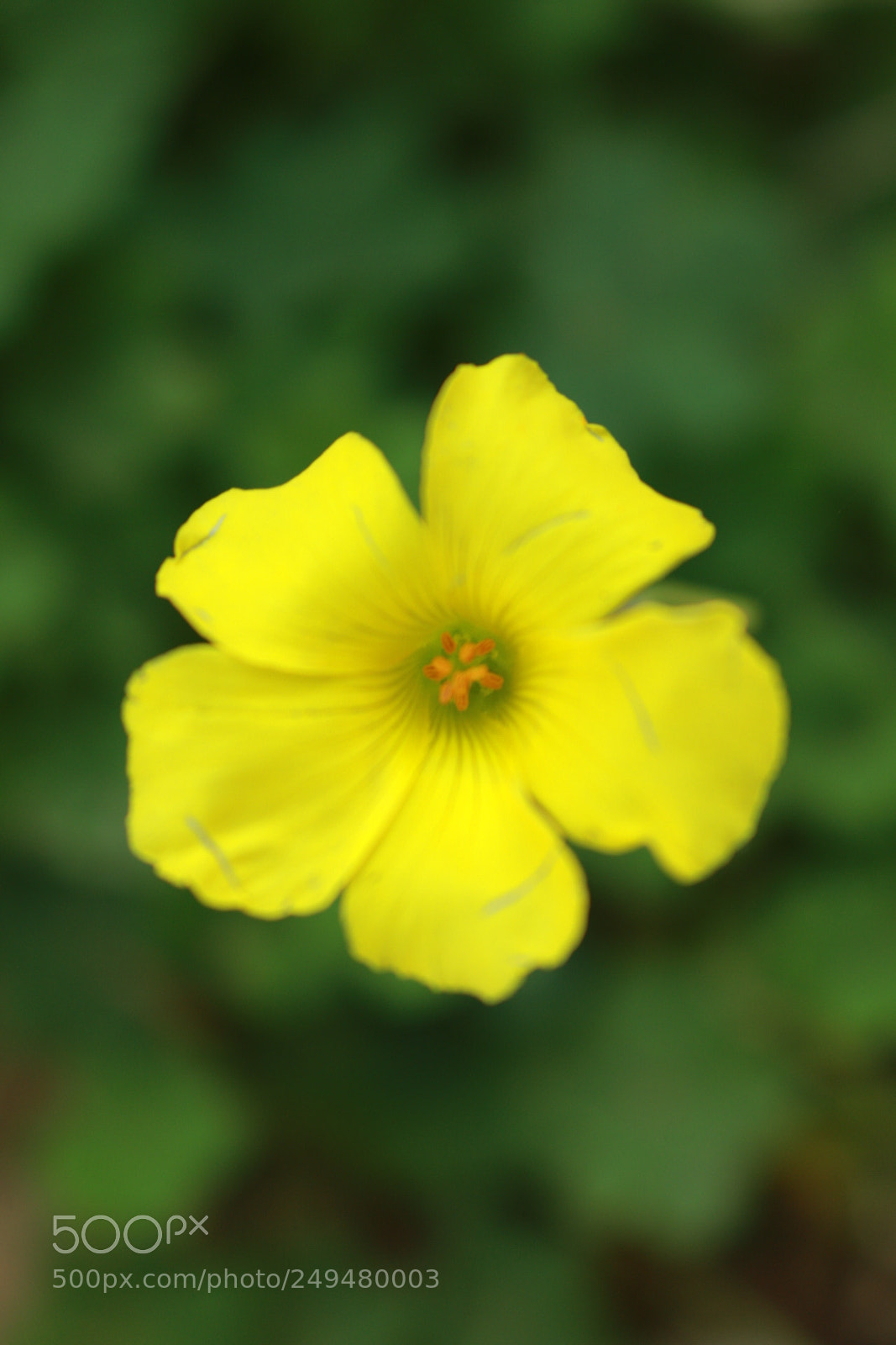 Canon EOS 70D sample photo. Untitled photography