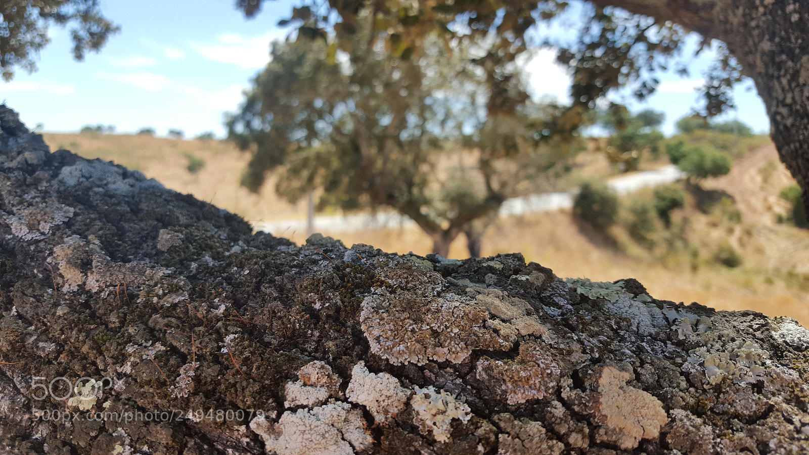Samsung Galaxy S6 sample photo. Untitled photography