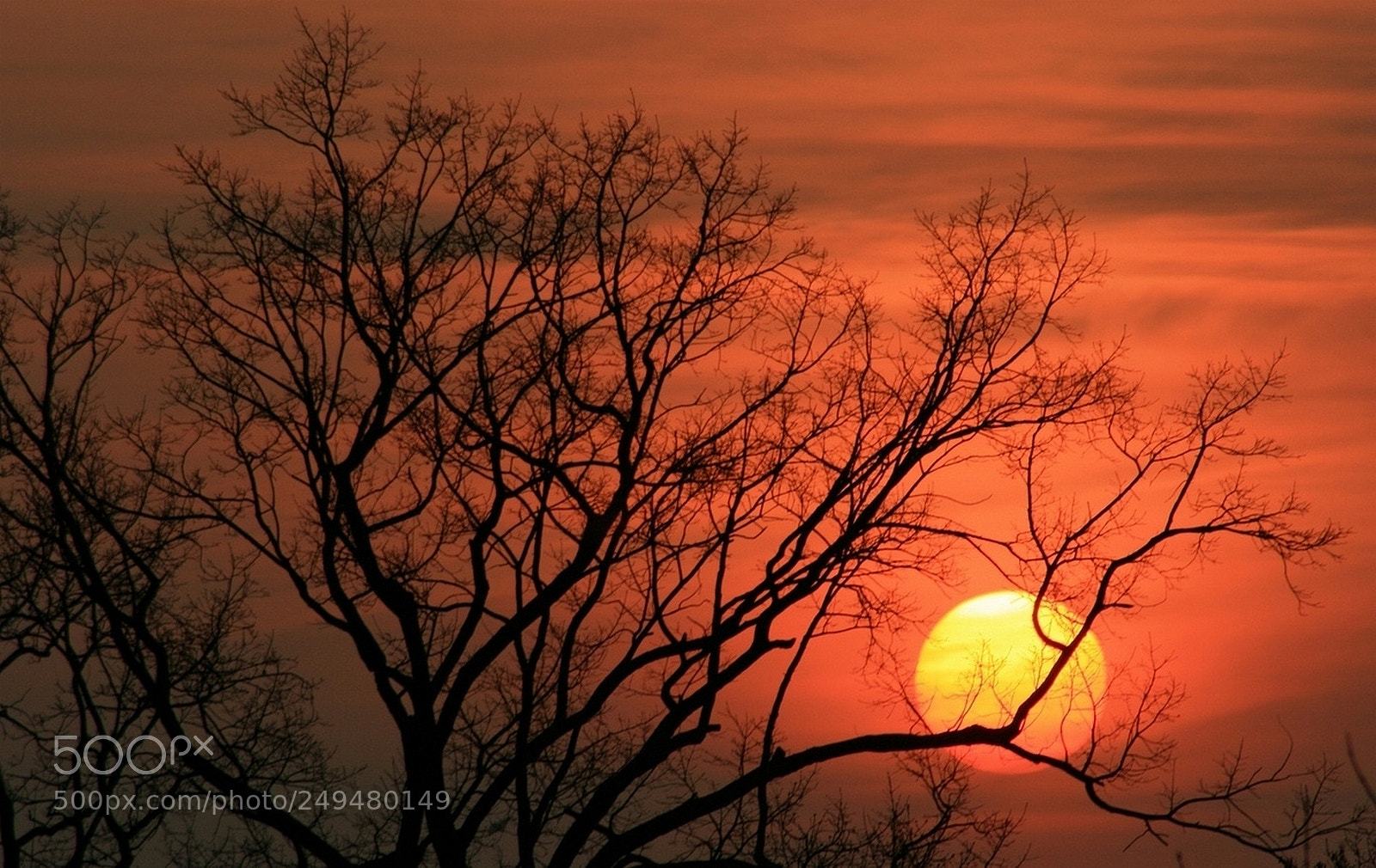 Canon EOS 600D (Rebel EOS T3i / EOS Kiss X5) sample photo. Sunset photography