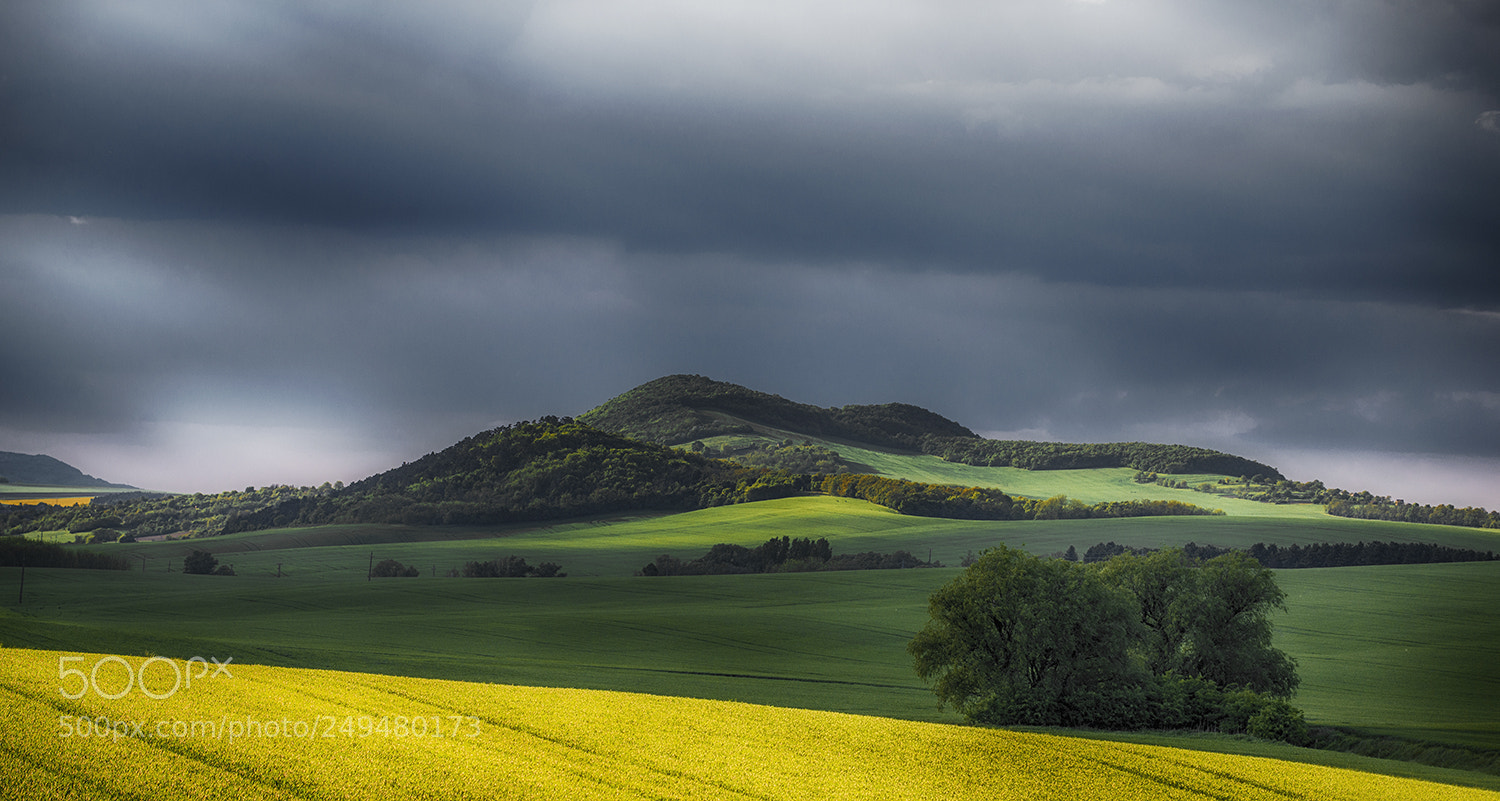 Nikon D610 sample photo. On a cloudy day photography
