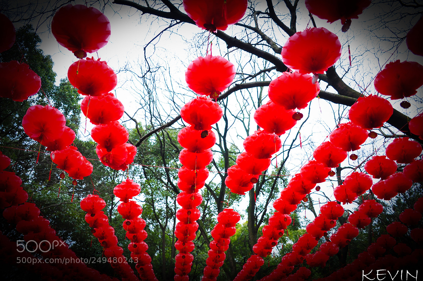 Nikon D90 sample photo. Lantern photography