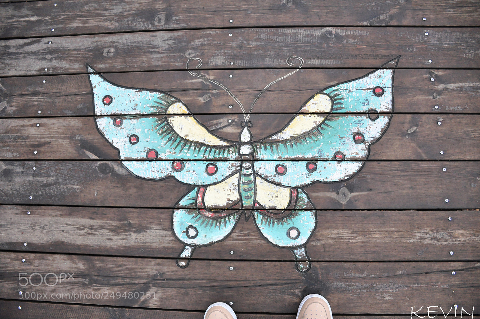 Nikon D90 sample photo. Butterfly draw photography