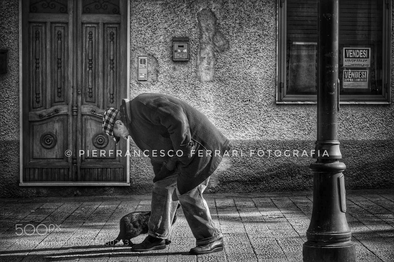 Nikon D7200 sample photo. Blackandwhite manuela black cat photography