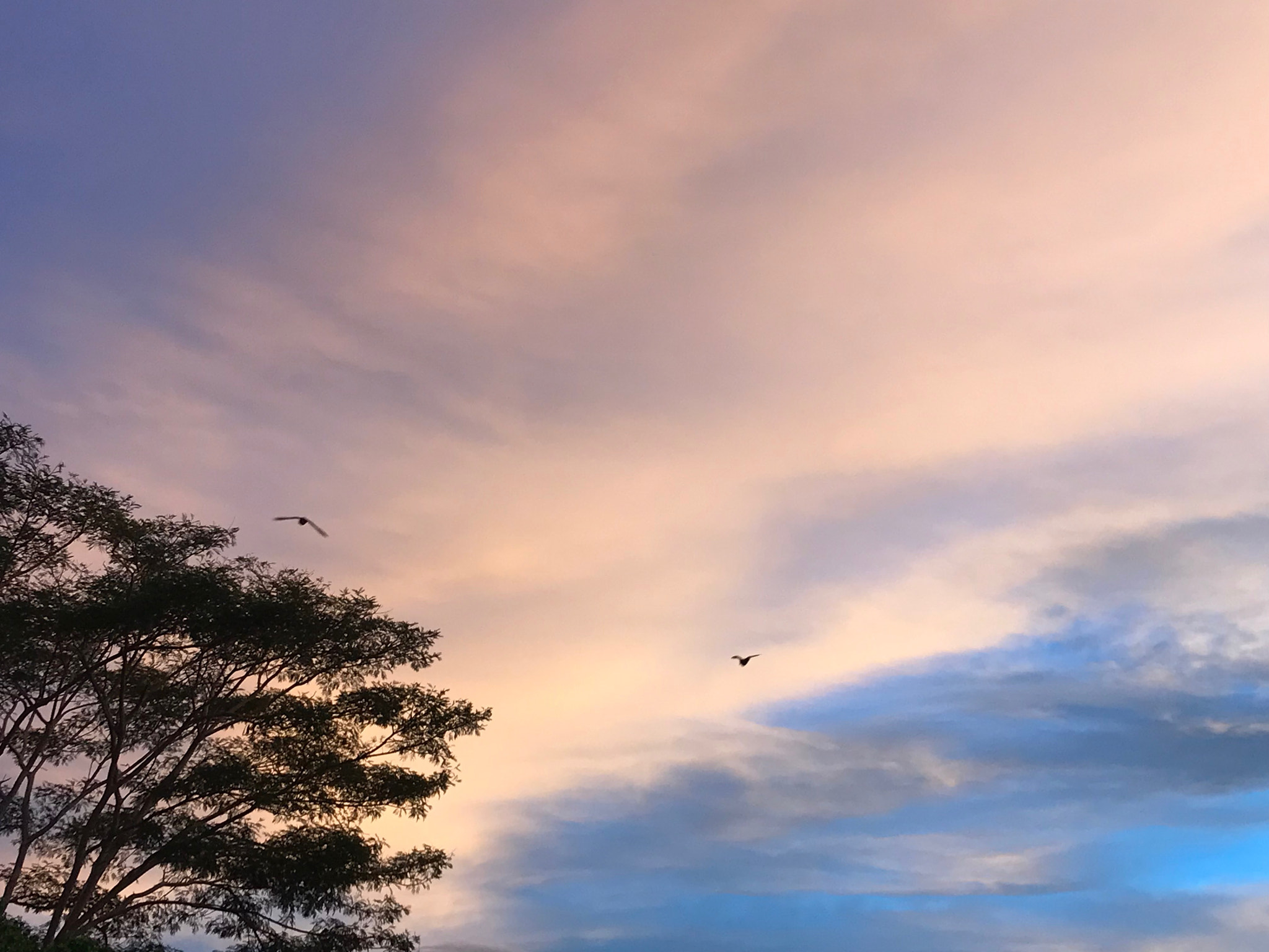 Apple iPad Pro (10.5-inch) sample photo. Untitled photography