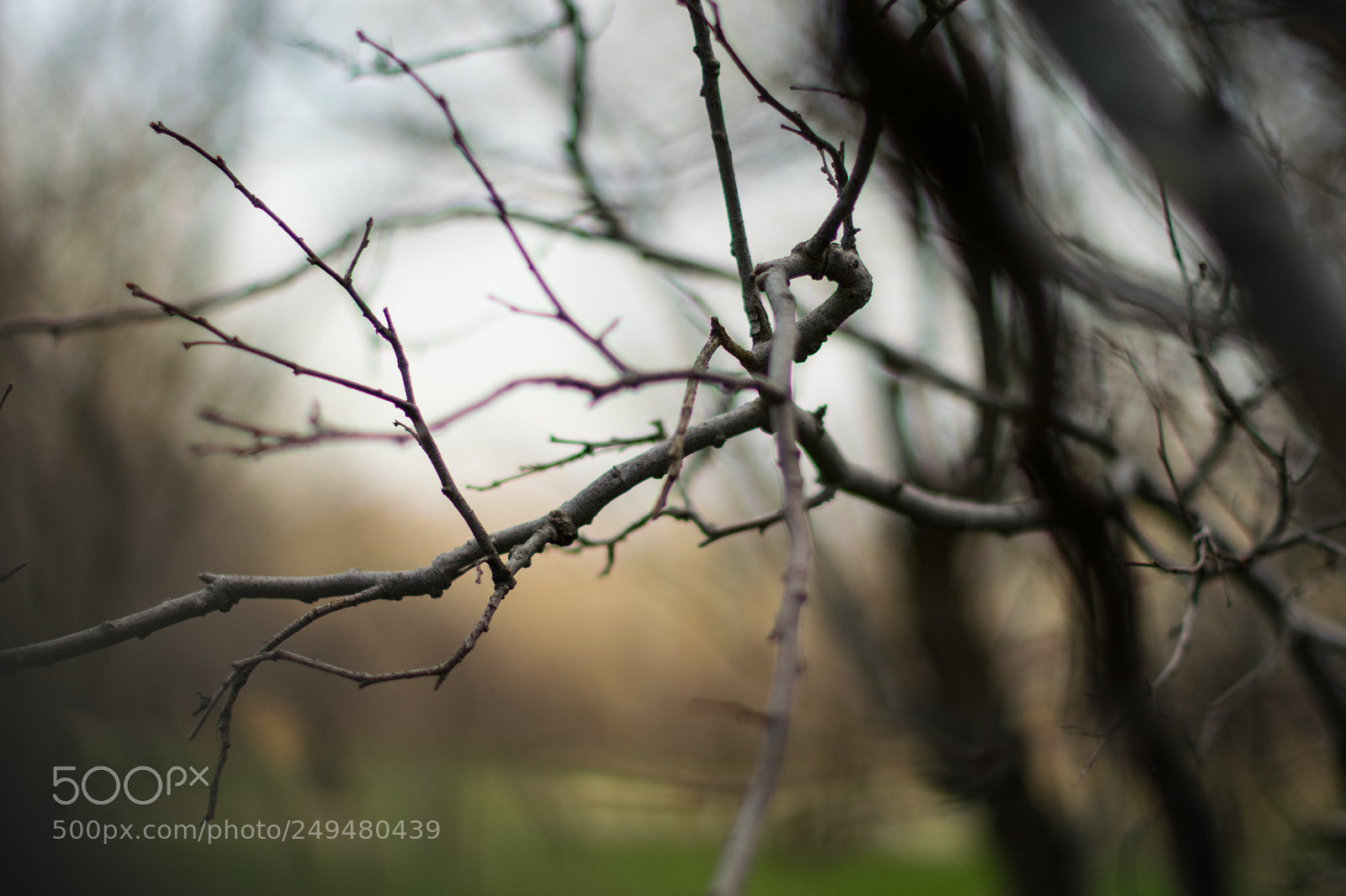 Nikon D5300 sample photo. Untitled photography