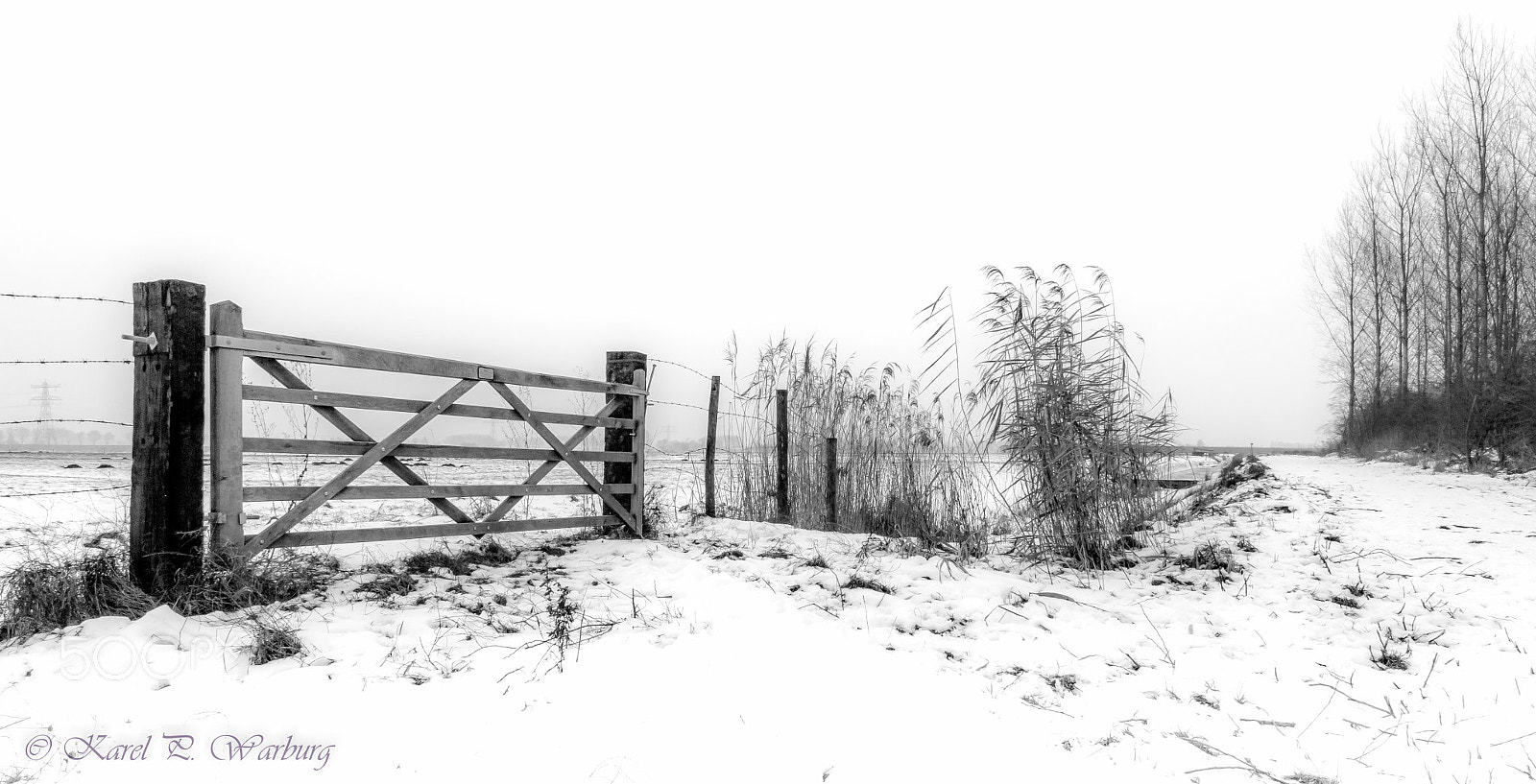 Canon EOS 50D sample photo. The gate is closed.... photography