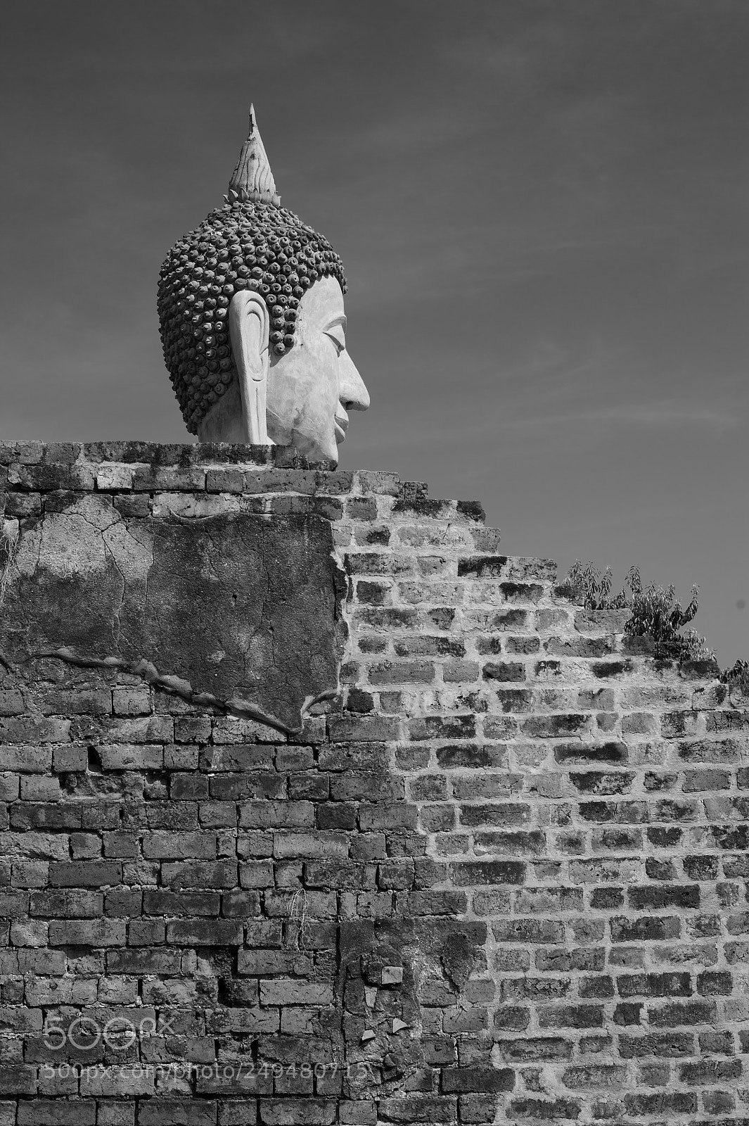 Nikon Df sample photo. Buda beside the wall photography