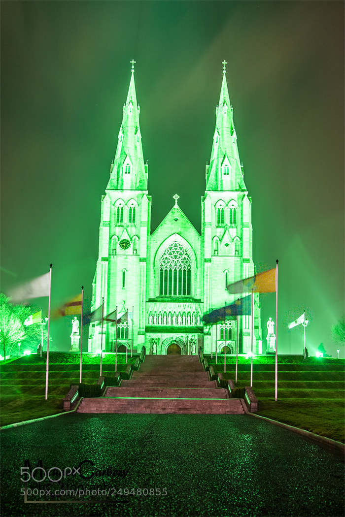Canon EOS 5D sample photo. Green for st. paddy photography